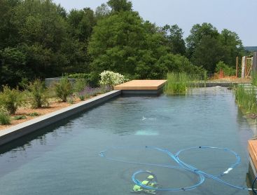 natural pool and garden have become a unity